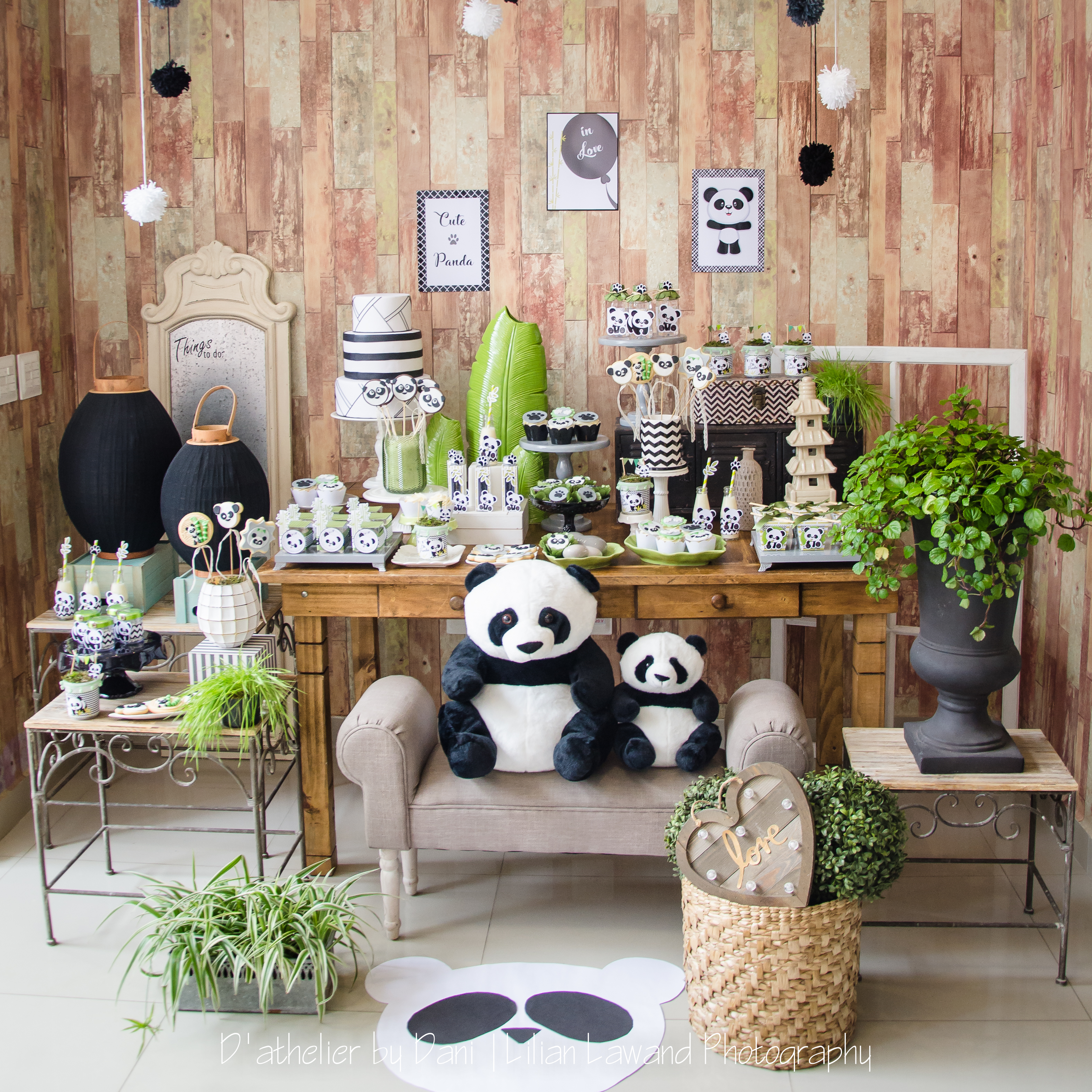 Panda (3)