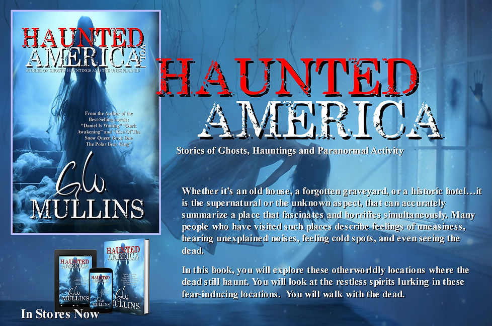 Haunted America banner 2023.jpg