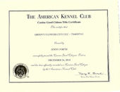 Groovy Flowers City AKC CGC certificate.jpeg