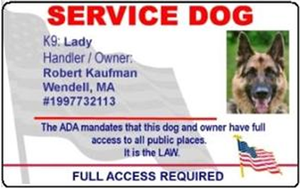 Service Dog ID German Shepherd