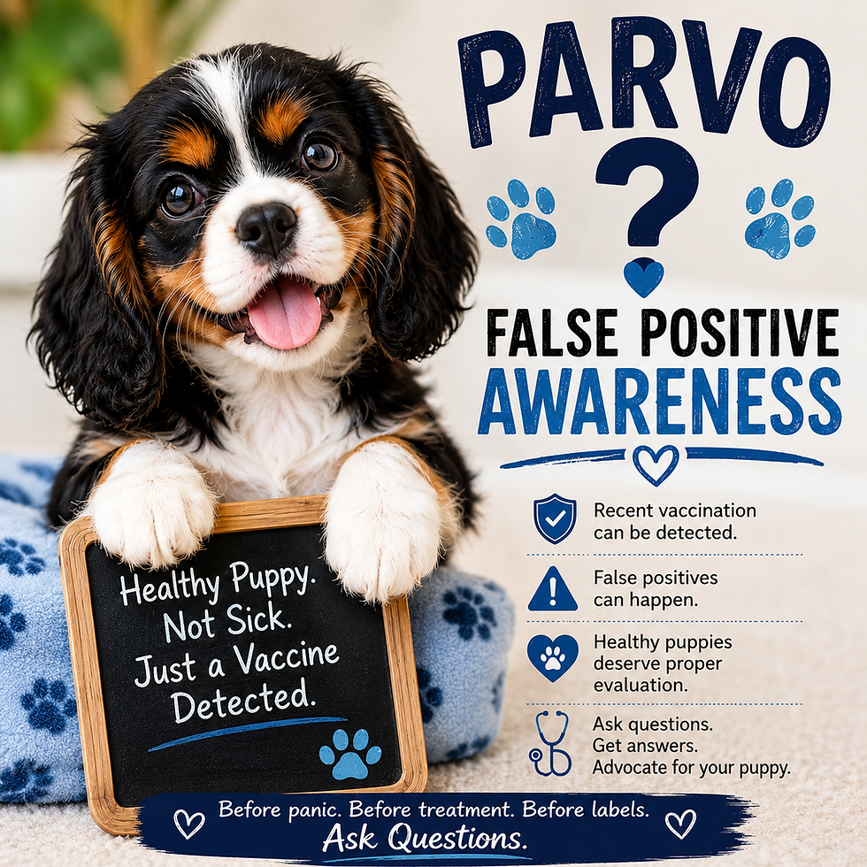 false positive parvo diagnosis
