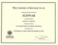 AKC Kennel Registration certificate Cavalier King Charles Spaniel Breeder