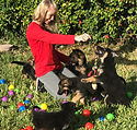 German Shepherd breeder Miami_0421