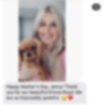 World Class Cavaliers Reviews