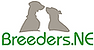 Golden Retriever Breeder Florida with Golden Retriever puppies for sale