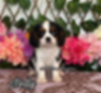 Nelly