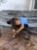 Our German Shepherd dogs and puppies are kids friendly and perfect family pets_0046