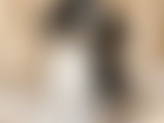 Top AKC Cavalier King Charles Spaniel Breeders in the USA