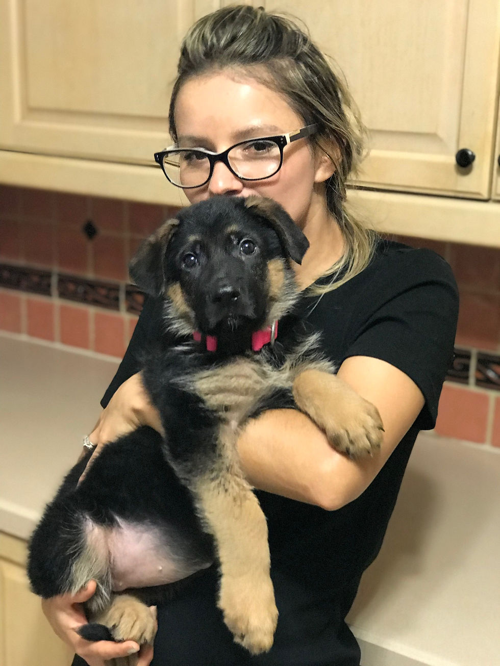 German Shepherd and dogs_0022
