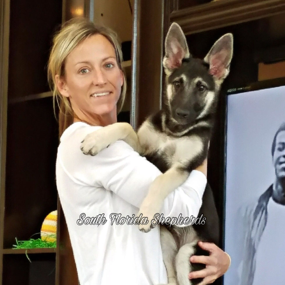 South Florida German Shepherds Customers_0015
