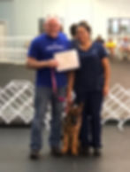 South Florida German Shepherds Traing_0003