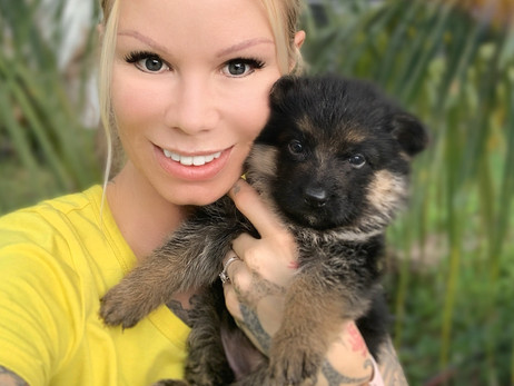 Tips For Grooming Your German Shepherd Dog