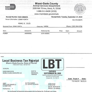 Business Tax Cavalier King Charles Spaniel breeder 2020