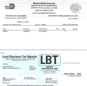 Business Tax Cavalier King Charles Spaniel breeder 2020