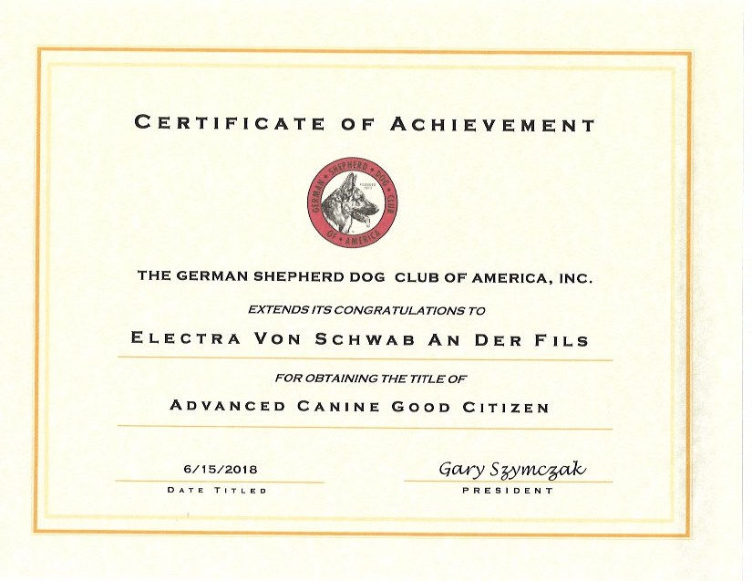 German Shepherd Breeder in South Florida