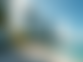 Miami's Luxury Property