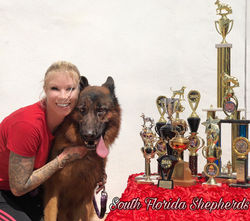 Quoran Von Bellissimo German Shepher