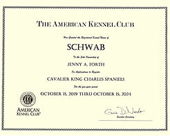AKC kennel certificate