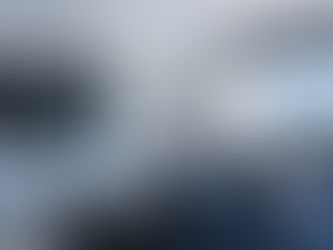 Luxury Home Buying in South Florida: Expert Guide by Jenny Forth