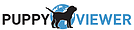 Golden Retriever Breeder Florida with Golden Retriever puppies for sale
