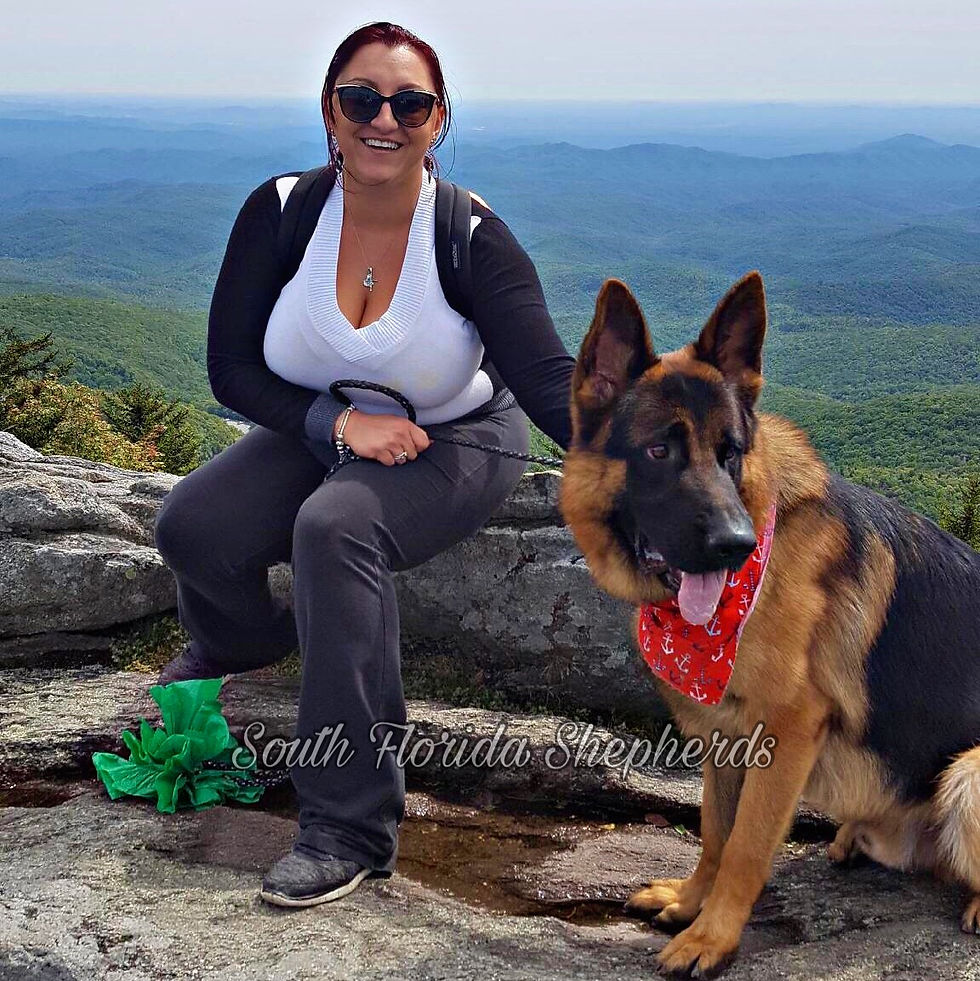 German Shepherd and dogs_0032
