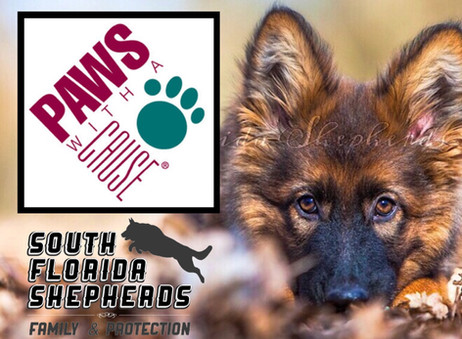 Paws With A Cause Fundraiser