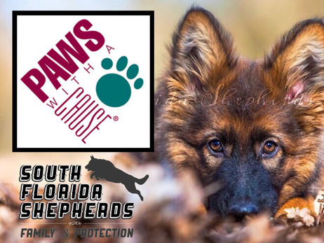Paws With A Cause Fundraiser