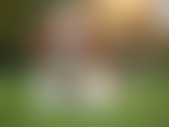 Cavalier Potty Training Tips: Potty Training Your Cavalier King Charles Puppy