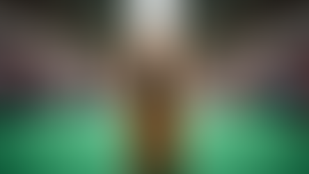 AKC Conformation Shows: What You Should Know