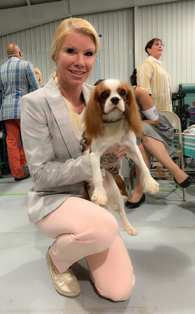 Cavaliers King Charles Spaniel breeder W
