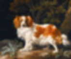King Charles Spaniel history