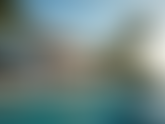 Jenny Forth: Miami Broward Expert Realtor for Luxury Properties