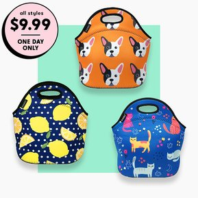 Neoprene Lunch Boxes are a deal!!