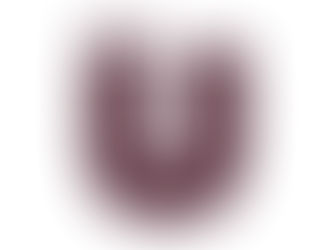 Announcing the Return of FIG U!