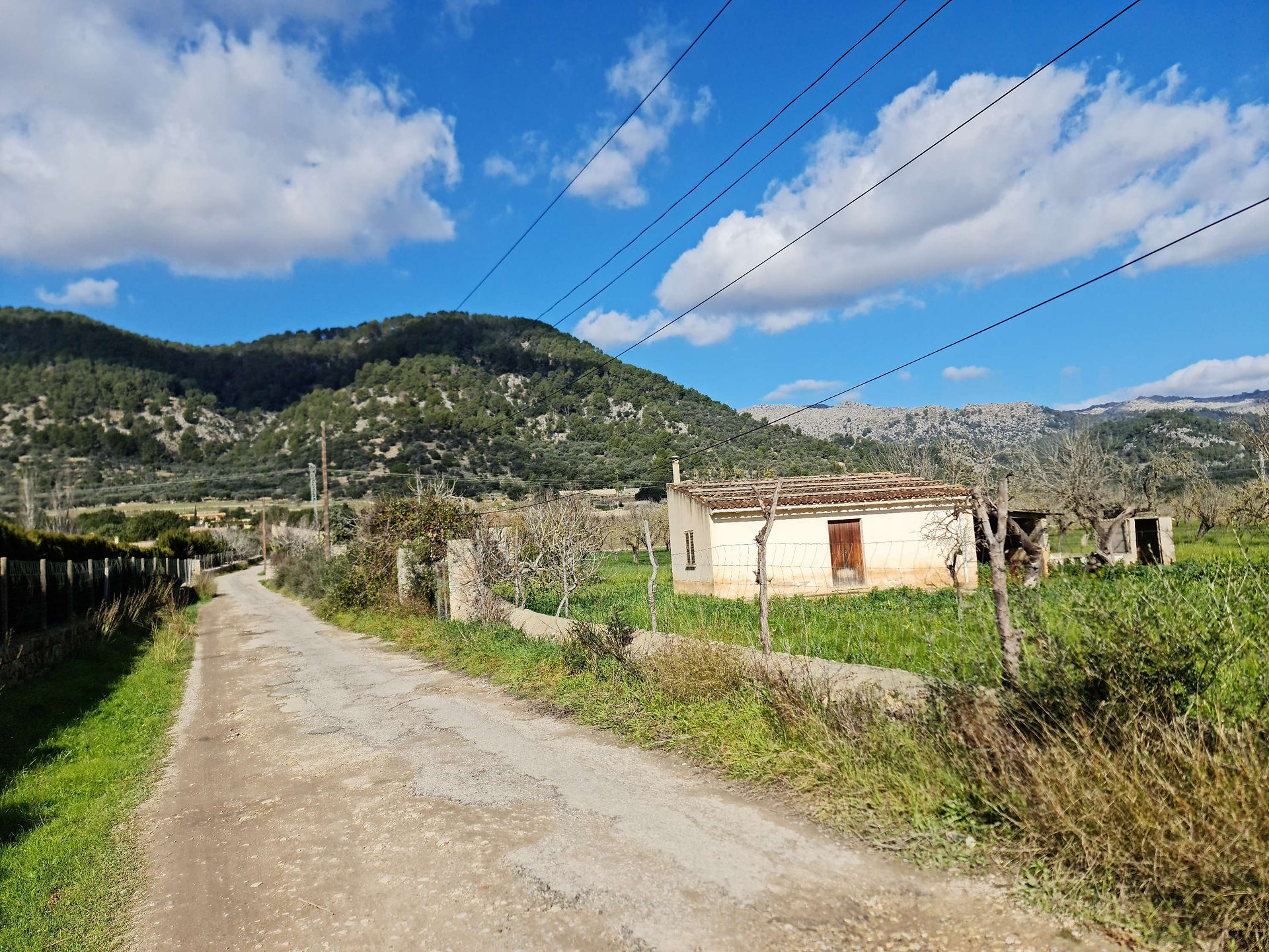 Entorno rural de Campanet