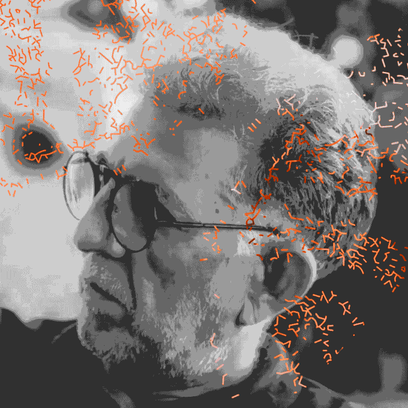 Antônio Amaral