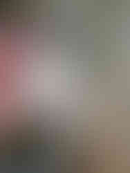 Flor do ipê branco, com o tronco da árvore no fundo