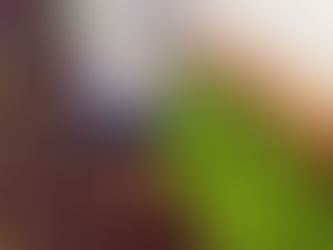 Censes 1 de Londrina e de Ponta Grossa promovem atividades de horticultura e fruticultura