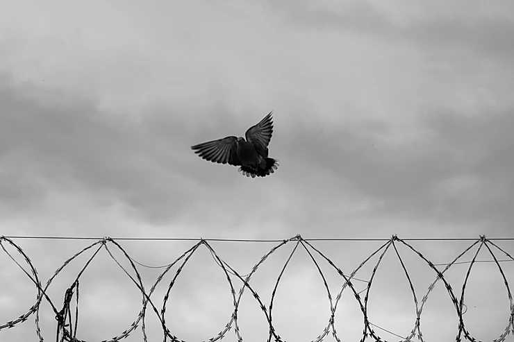 Das mortes às razões: o aumento explosivo do número de óbitos no cárcere paranaense