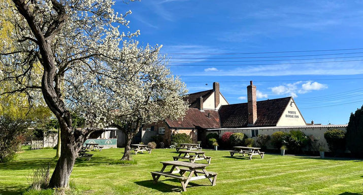 west garden, white horse inn somerset