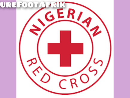 Our major challenges in Anambra are insecurity, flood - Nigerian Red Cross