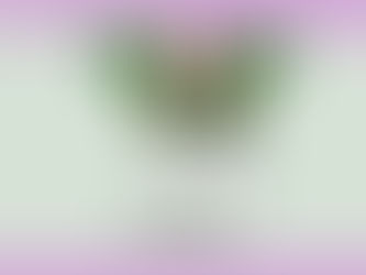 INEC does not rig election - Anambra REC