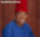 INEC chairman deliberately sabotaging ADC - Senator Umeh