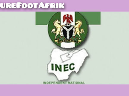 Anambra 2025: Anxiety as INEC displays candidates' credentials