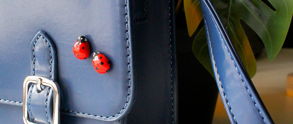 Ladybird Clay Pins