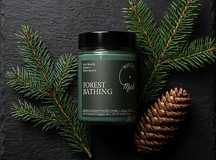 Copy of Website Image (11).png