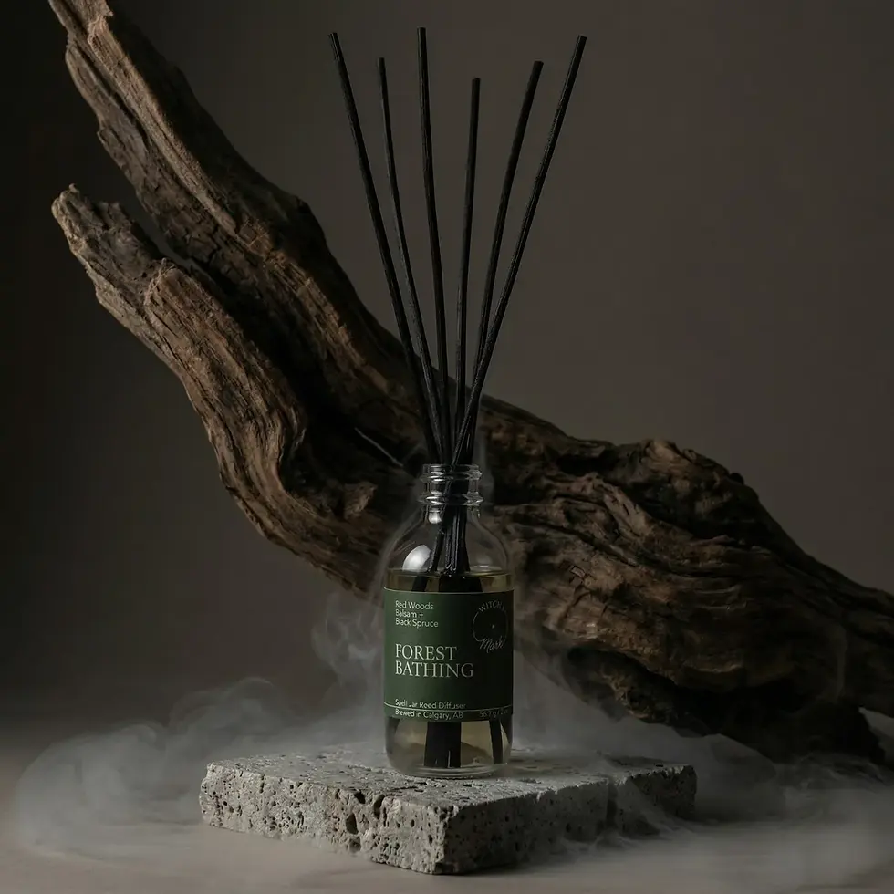 Forest Bathing Diffuser Hero