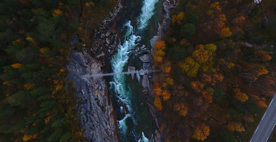 Aerial shot of a narrow river, bridge, and trees with autumn leaves