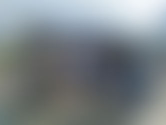 Estudiantes con Paola en vuelo a Irlanda