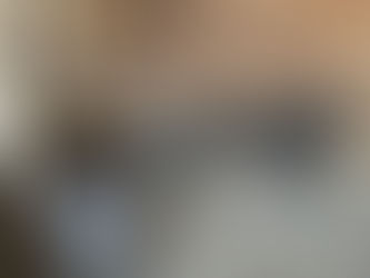 Precio de remate 200 la pareja de 6 meses (gallina por romper postura)
